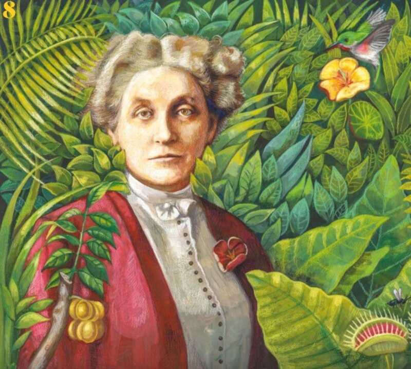 El retrato de María Sibylla Merian