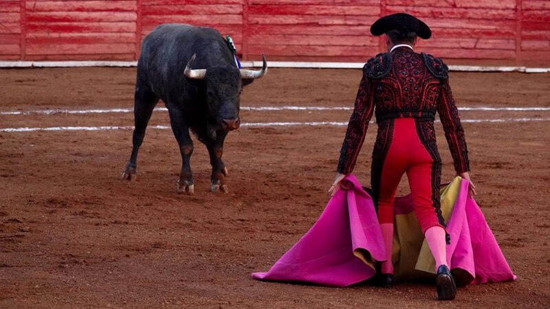 El torero y el toro