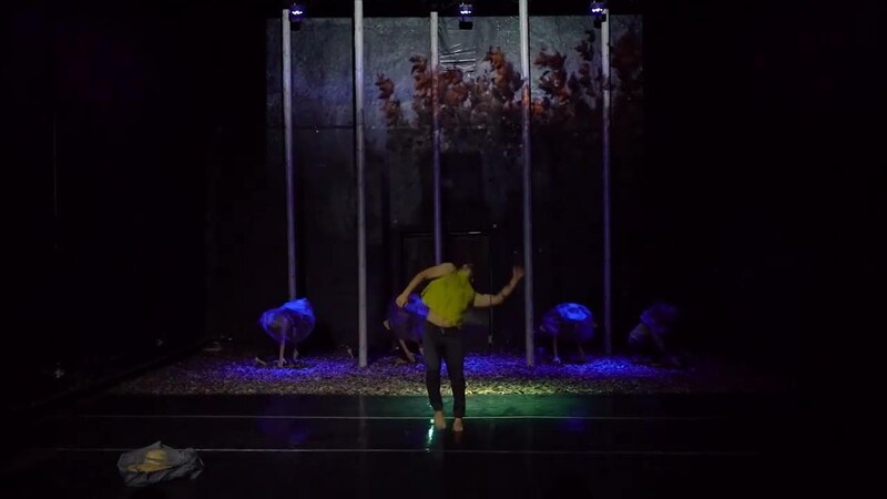 La danza de la vida