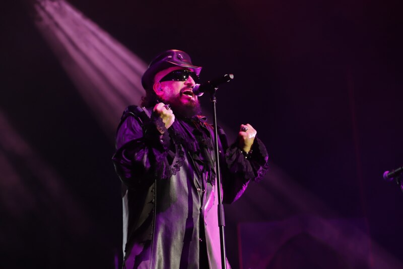Artista en concierto
