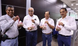 Productores tamaulipecos venden al 100% primera cosecha de ostión