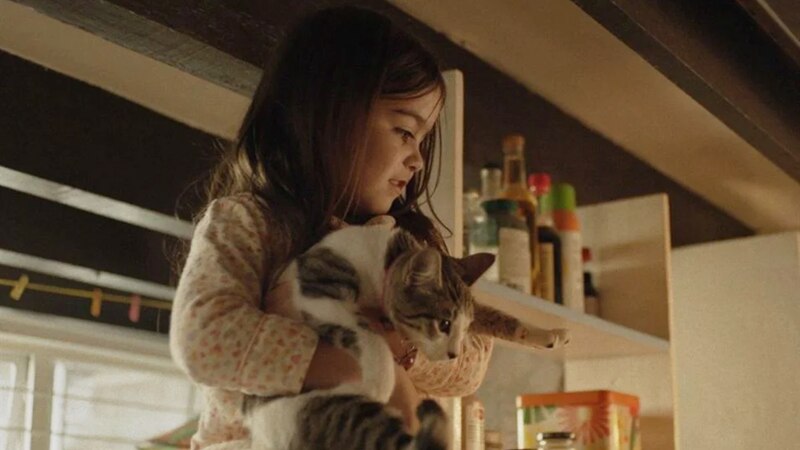 Una niña sostiene un gato en sus brazos