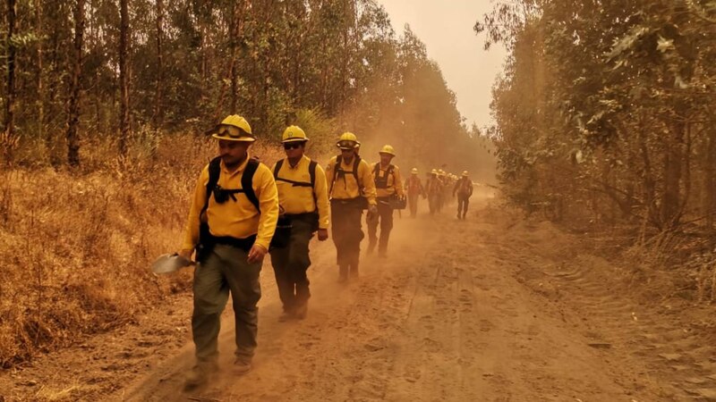 Bomberos combaten un incendio forestal