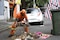 BJ recolecta más de 4 mil 700 toneladas de basura en una semana