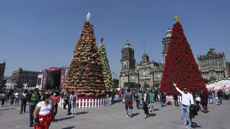 Árboles de Navidad en el Zócalo de la Ciudad de México
