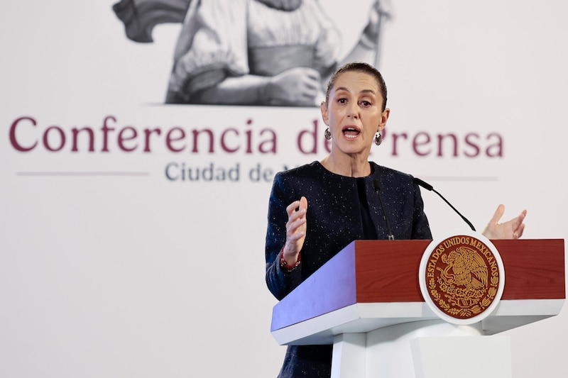La Secretaria de Economía, Tatiana Clouthier, ofrece una conferencia de prensa en la Ciudad de México.