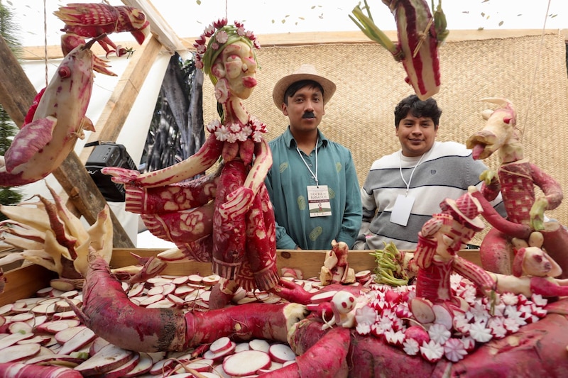 Ciento treinta y cinco artesanos participaron en la tradicional Noche de Rábanos que  cada año se realiza en  el zócalo de la capital de Oaxaca. La fiesta que consta de figuras talladas en su totalidad con el tubérculo, dónde se plasman escenas religiosas, festividades, seres mitológicos, entre otras ideas celebra su edición número 126.