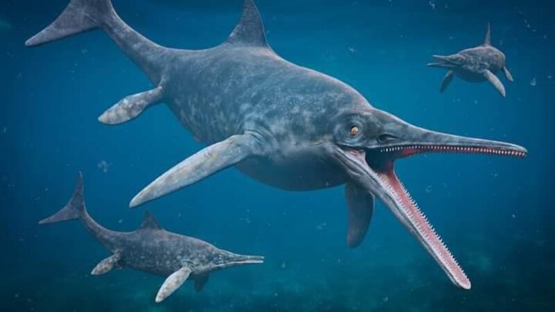 Plesiosaurio, un dinosaurio marino