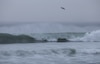 Semarnat desactiva alerta de tsunami tras terremoto en Rusia