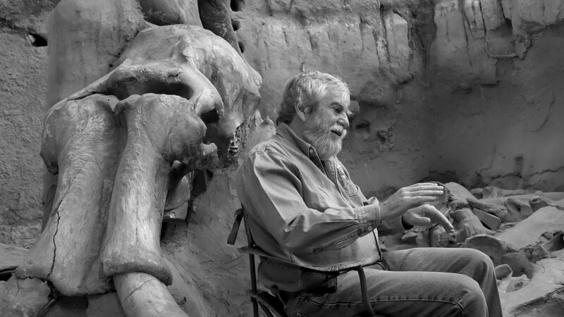El paleontólogo Juan Luis Arsuaga estudia un fósil de mamut en Atapuerca
