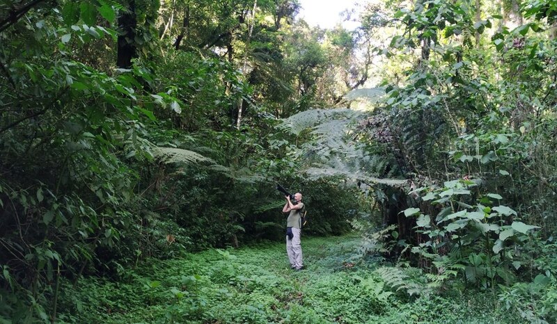 Explorando la naturaleza
