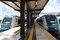 Impulsa PRI comparecencia de director de Tren Maya; pérdidas por más de 2.5 mmdp