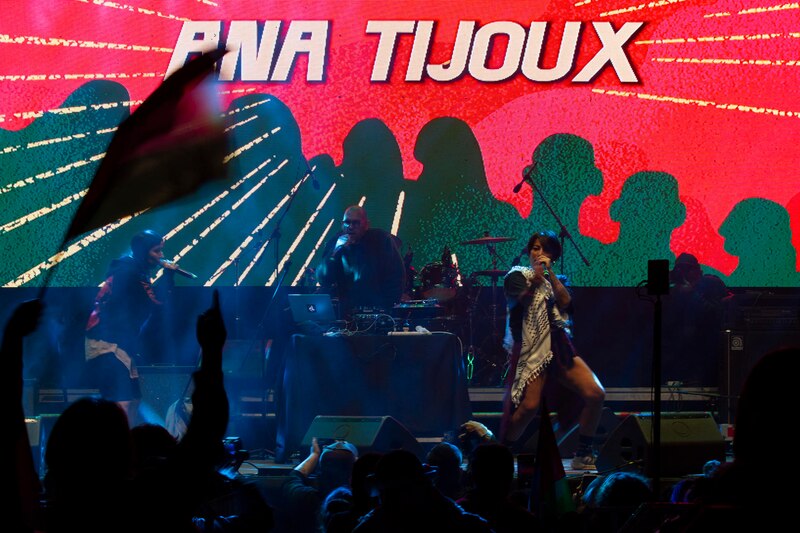 Ana Tijoux en concierto