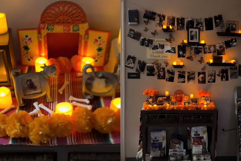 Ofrenda viral Día de Muertos