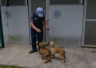 Rescatan a 44 perros en la Unidad de Control y Bienestar Animal de Atizapán 