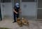 Rescatan a 44 perros en la Unidad de Control y Bienestar Animal de Atizapán 