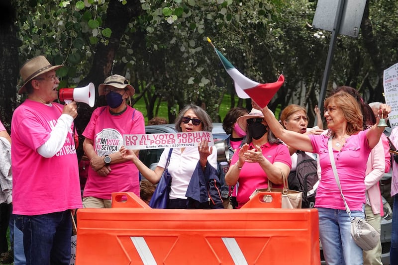 Simpatizantes de la llamada Marea Rosa se manifestaron frente a las instalaciones del Instituto Nacional Electoral, esto durante la sesión extraordinaria del INE donde se definía el proyecto para la asignación de la diputaciones y senadurías por el principio de representación proporcional.