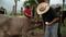 Confirma Agricultura caso de gusano barrenador en Nuevo León    