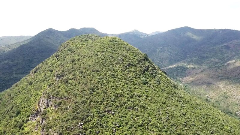 Montaña cubierta de vegetación verde