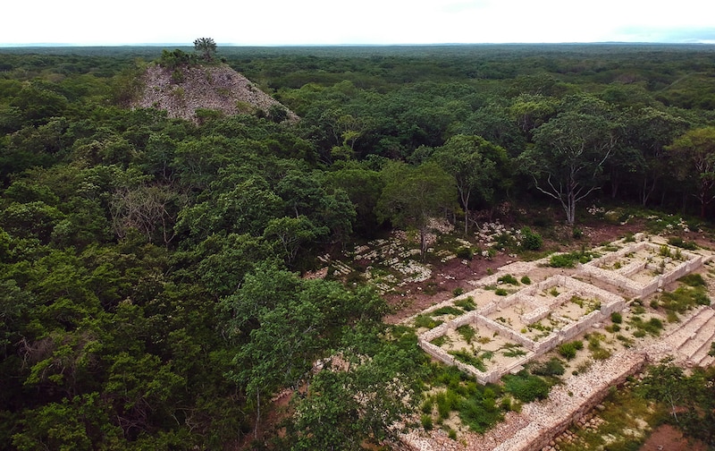 Ruinas mayas en medio de la selva