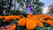 Chapultepec celebrará a la música con ofrendas dedicadas a compositores en Día de Muertos