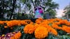 Chapultepec celebrará a la música con ofrendas dedicadas a compositores en Día de Muertos