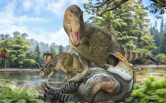 Los restos de un enorme tiranosaurio respaldan su posible origen en América del Norte