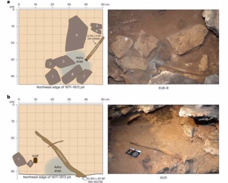 Title: Excavación arqueológica en la cueva de El Mirón (Cantabria, España)