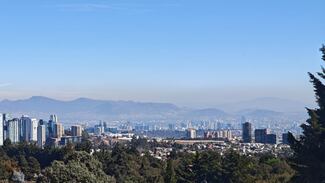 La contaminación del aire eleva el riesgo de Alzheimer: estudio revela daño cerebral directo