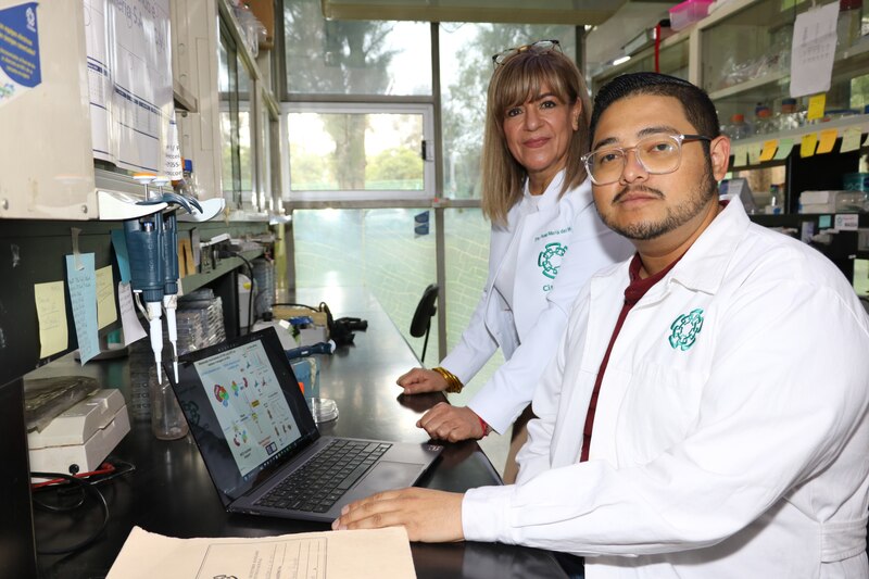 Científicos mexicanos desarrollan nuevo tratamiento contra el dengue