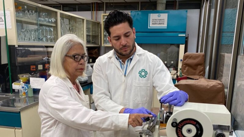 Científicos desarrollan nuevo método para detectar enfermedades