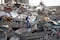 Terremotos en Venezuela habrían afectado a 6.8 millones de personas, estima la ONU    
