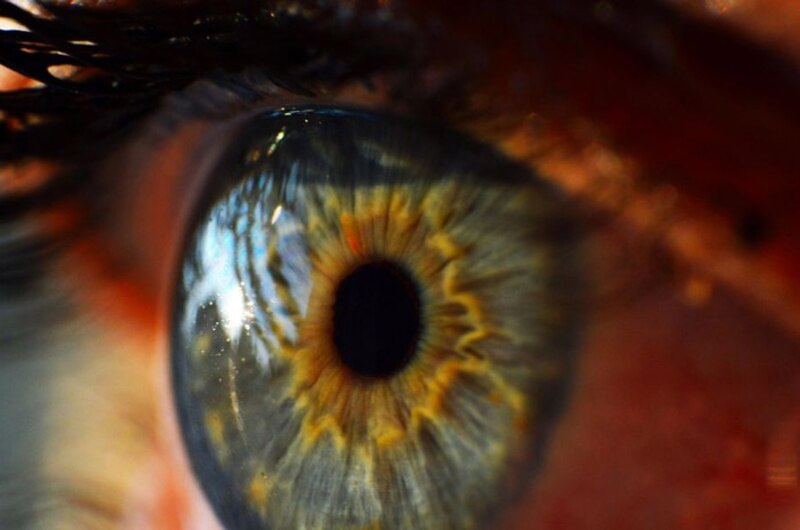 Ojo humano
