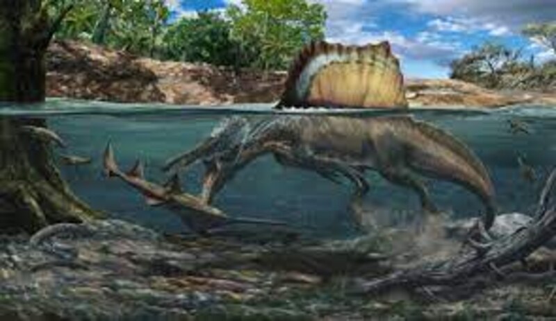Dinosaurio Spinosaurus atacando a un pez