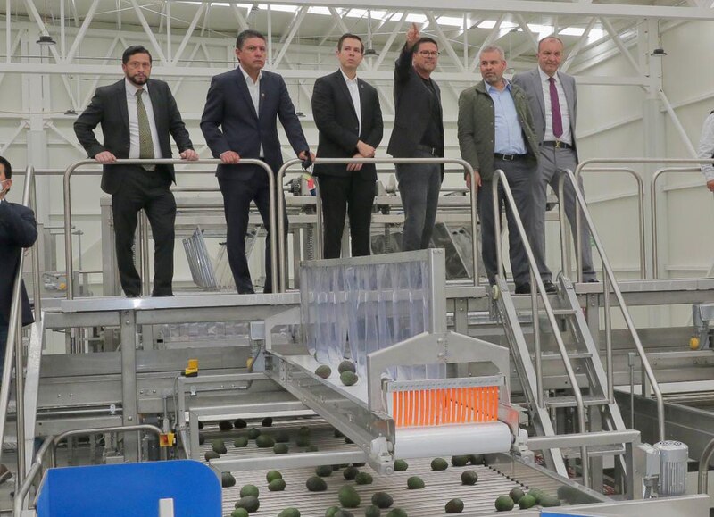 Visita a la planta de procesamiento de aguacate de Juchitán