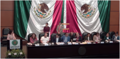 Piden a diputados que en reforma a Ley de Amparo se fije acotar tiempo en juicio definitivo 