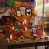 Ofrenda para Mascotas: cómo y cuándo armar el altar para perros y gatos fallecidos este Día de Muertos 2025