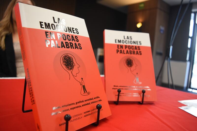 "Las emociones en pocas palabras"