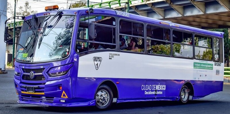 Autobús púrpura