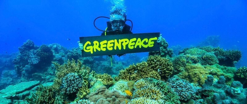 Greenpeace protesta por la destrucción de los arrecifes de coral
