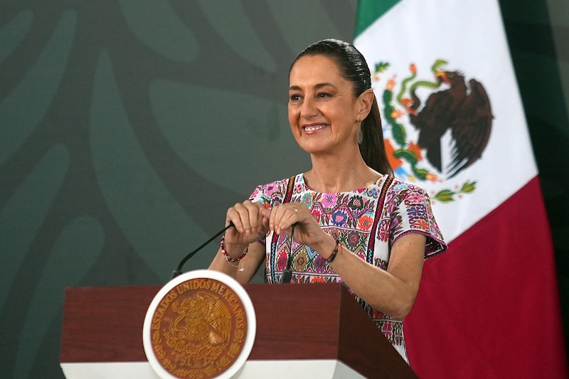 En la conferencia mañanera desde el puerto de Acapulco que ofreció la presidenta Sheinbaum, se destacó que el Poder Judicial viola los derechos de los más de 3,000 registrados