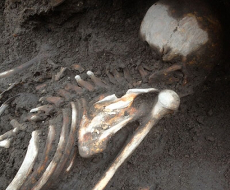 Restos óseos encontrados en una excavación arqueológica