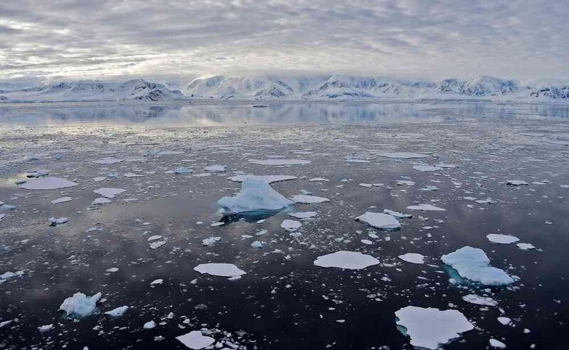 Icebergs en la Antártida