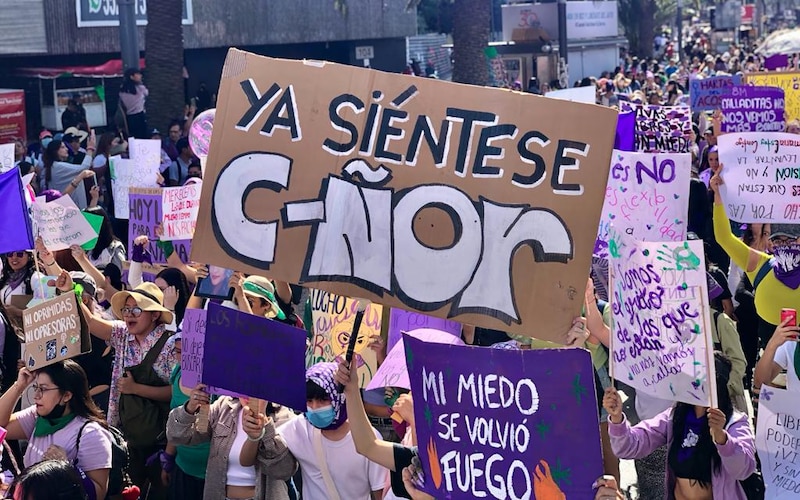 Possible title: Protesta feminista en México