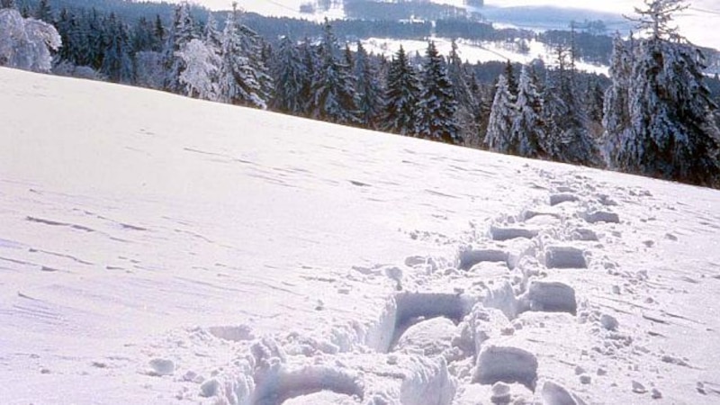 Senderos en la nieve