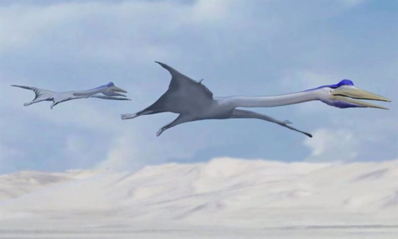 Quetzalcoatlus, el dinosaurio volador más grande de todos los tiempos
