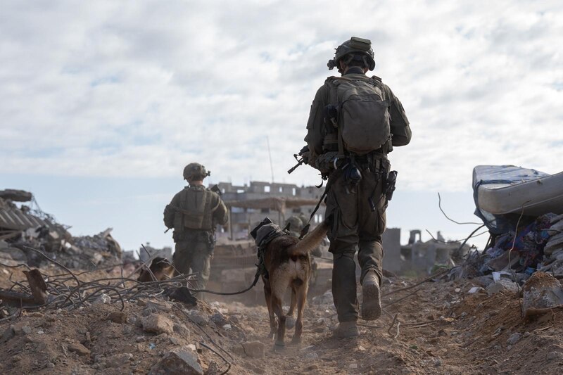 Soldados israelíes con perros en una zona de guerra