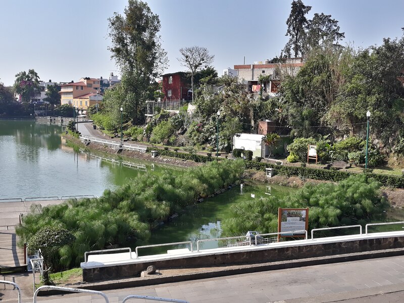 Lago en el parque