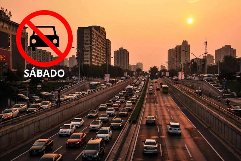 Escena de la ciudad de México con coches circulando en una de las principales avenidas