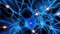 La ciencia desentraña el mapa proteico de la neurodegeneración